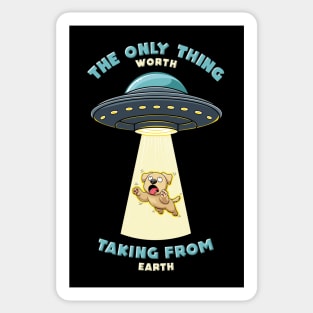 Dogs are the only thing worth taking from earth Sticker